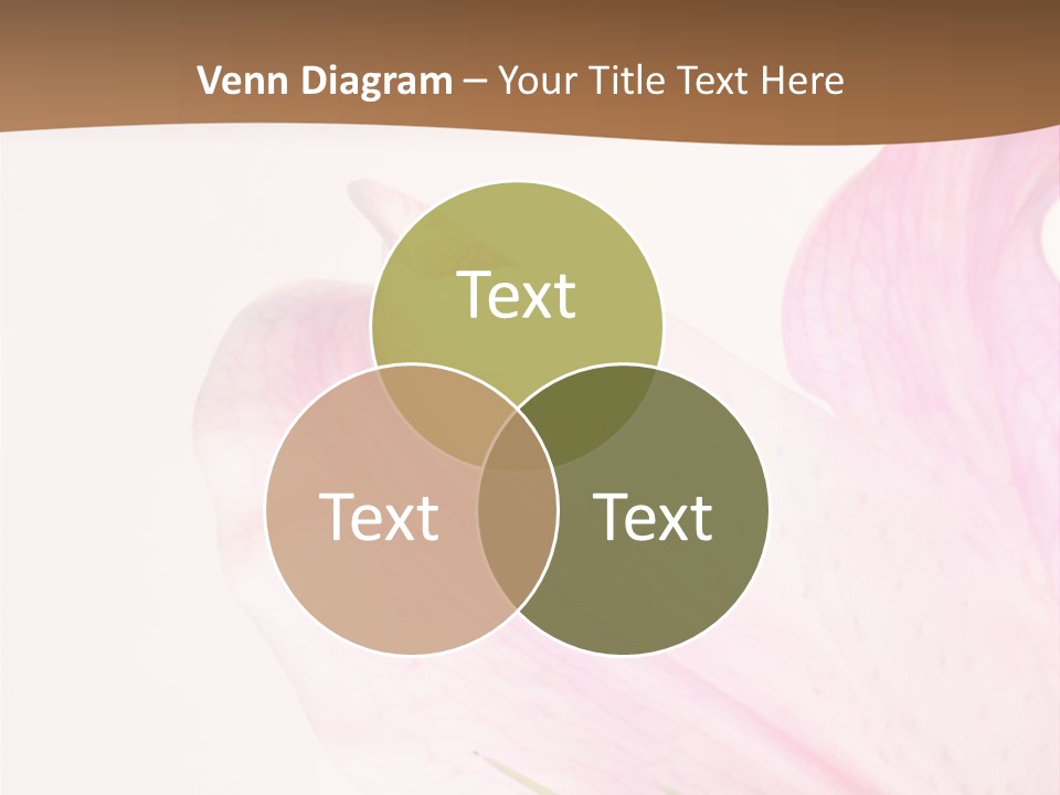 Beautiful Lilium Rose PowerPoint Template