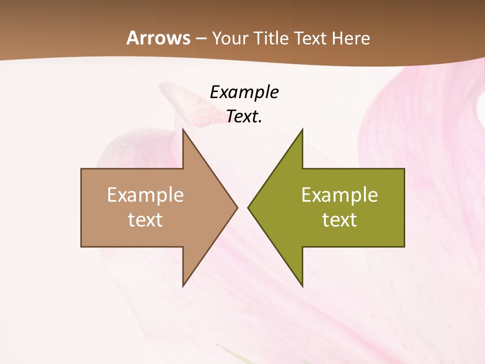 Beautiful Lilium Rose PowerPoint Template
