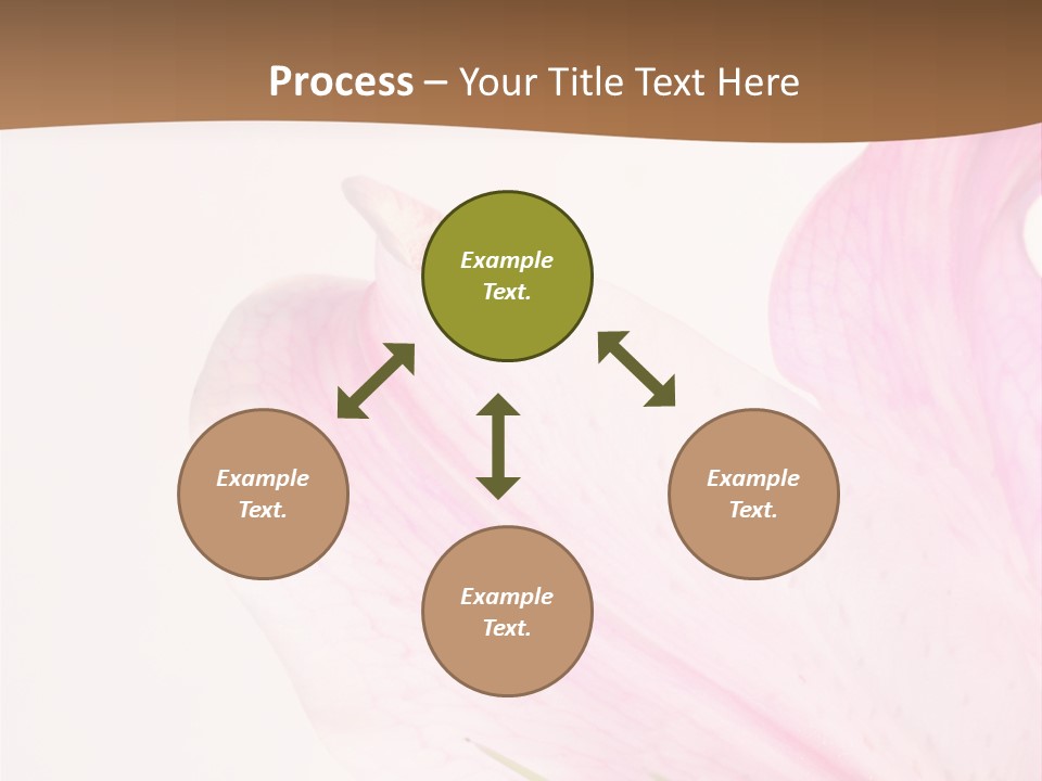 Beautiful Lilium Rose PowerPoint Template