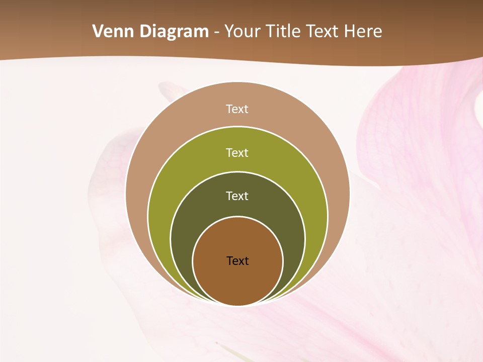 Beautiful Lilium Rose PowerPoint Template