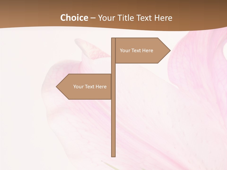 Beautiful Lilium Rose PowerPoint Template