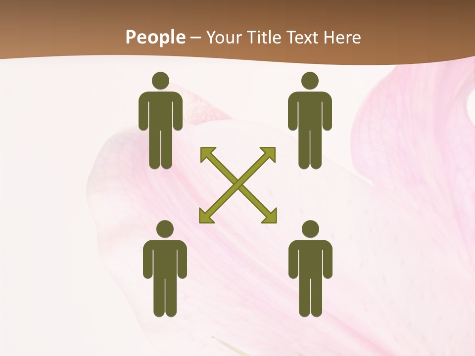 Beautiful Lilium Rose PowerPoint Template