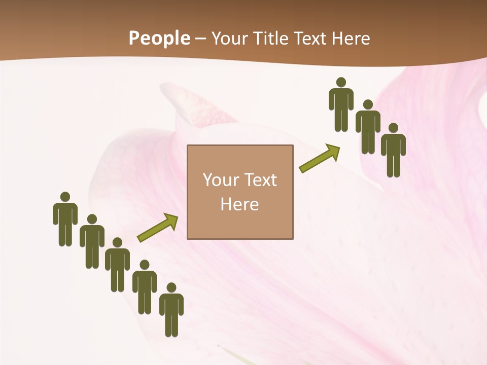 Beautiful Lilium Rose PowerPoint Template