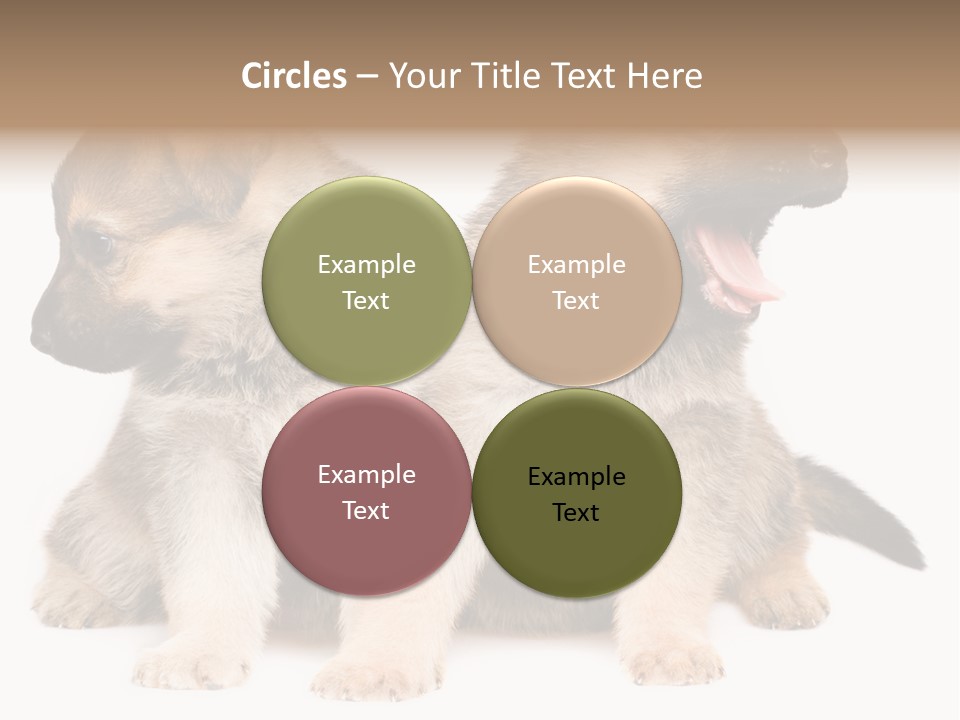 Undercoat Pedigree Cut PowerPoint Template