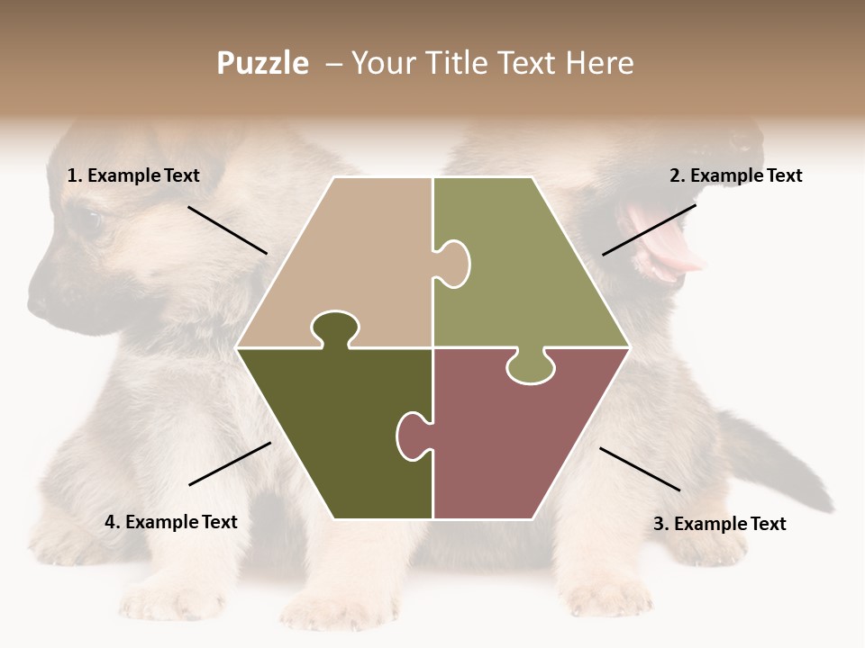 Undercoat Pedigree Cut PowerPoint Template