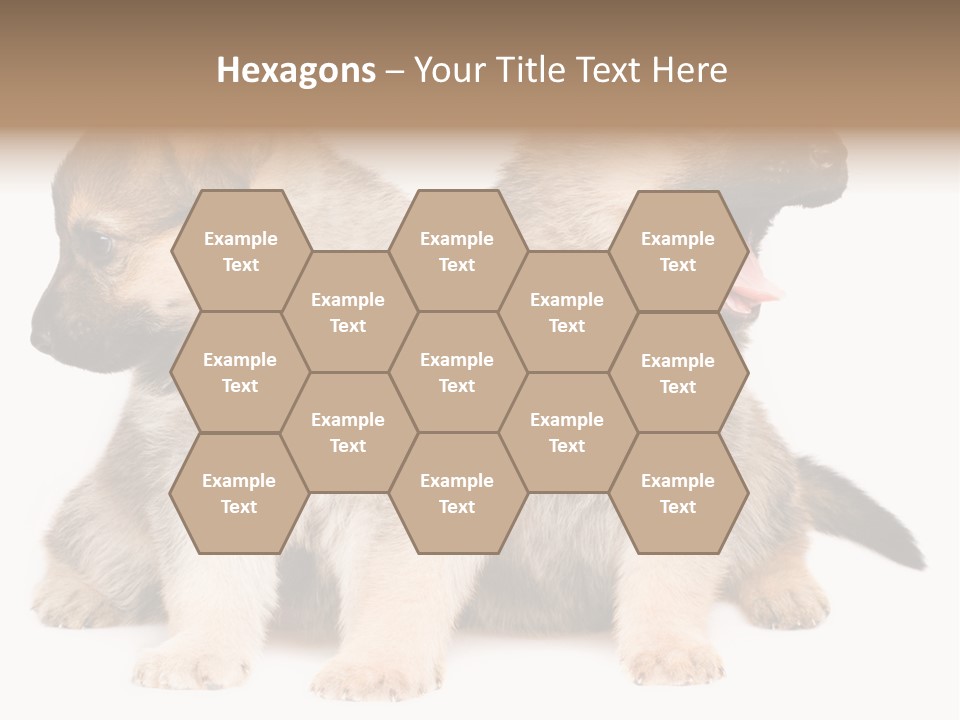 Undercoat Pedigree Cut PowerPoint Template