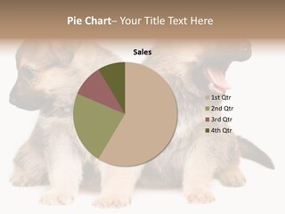 Undercoat Pedigree Cut PowerPoint Template