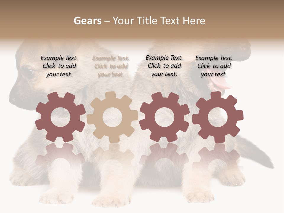 Undercoat Pedigree Cut PowerPoint Template
