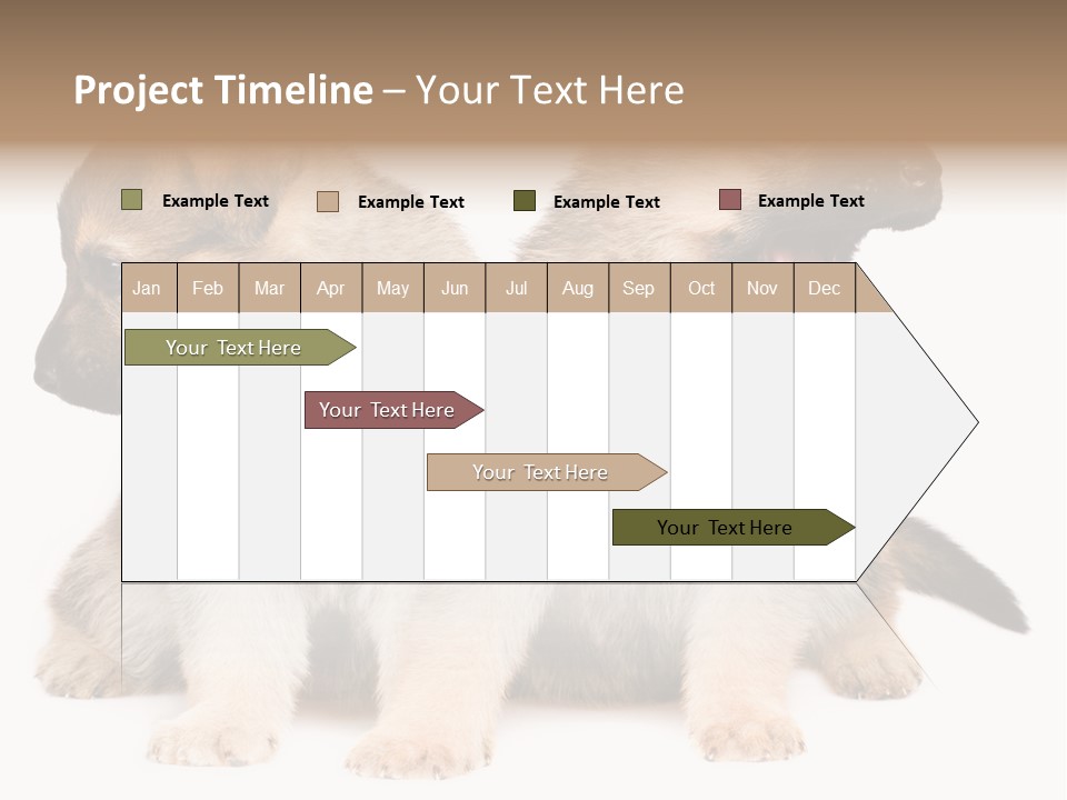 Undercoat Pedigree Cut PowerPoint Template