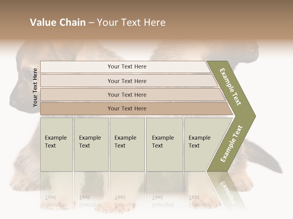 Undercoat Pedigree Cut PowerPoint Template