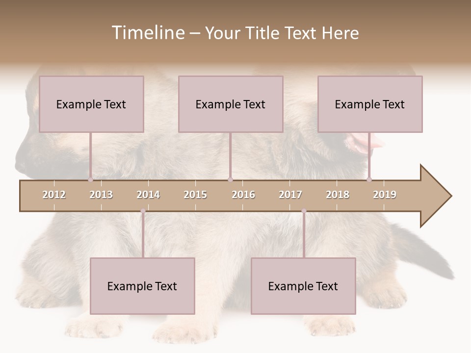 Undercoat Pedigree Cut PowerPoint Template