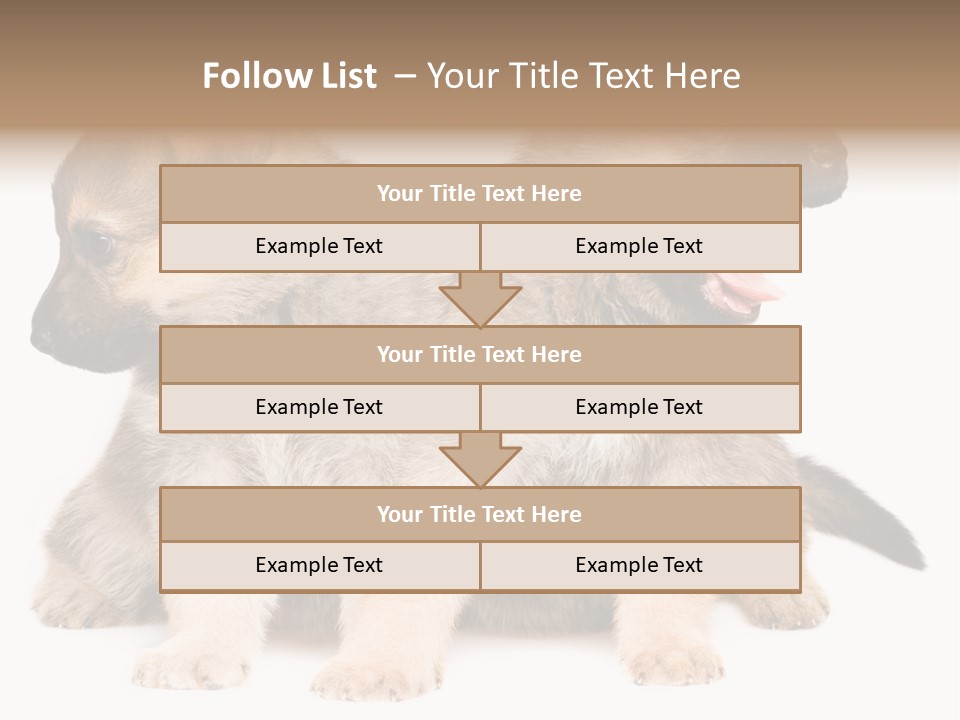 Undercoat Pedigree Cut PowerPoint Template
