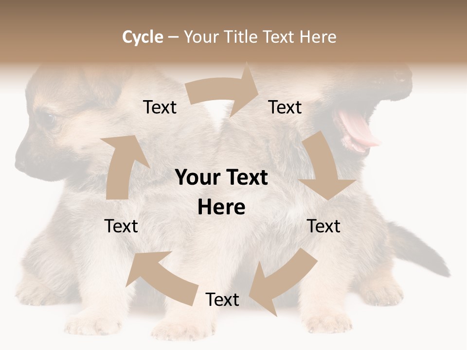 Undercoat Pedigree Cut PowerPoint Template