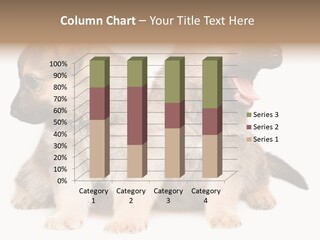 Undercoat Pedigree Cut PowerPoint Template