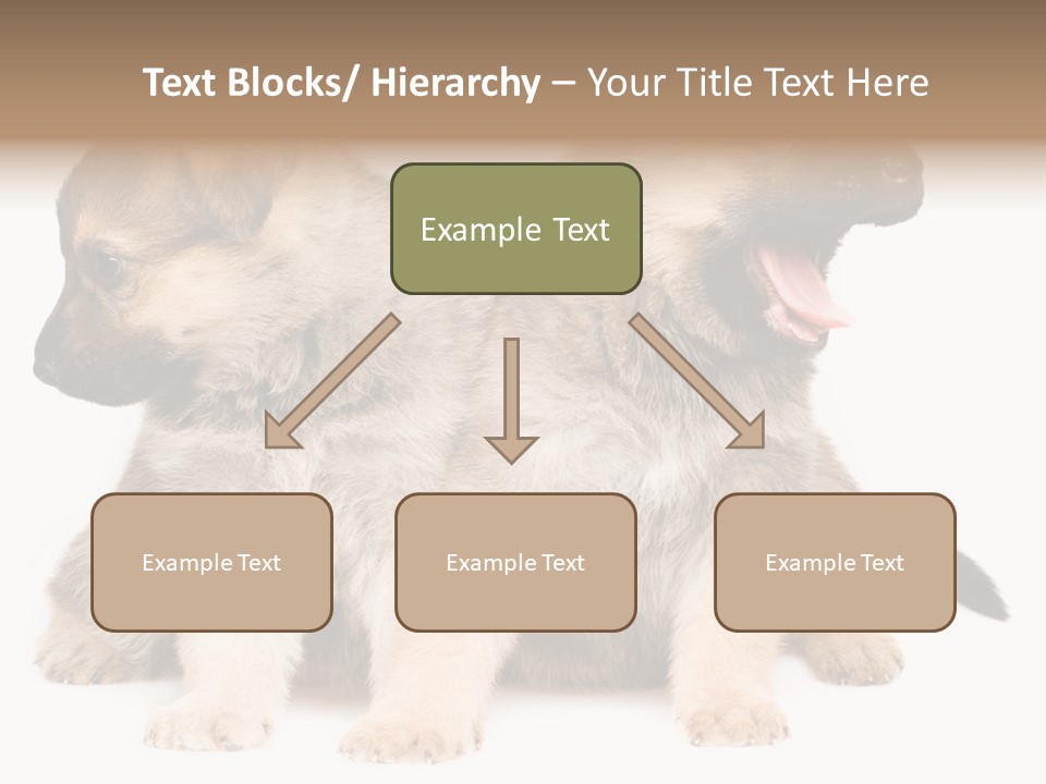 Undercoat Pedigree Cut PowerPoint Template