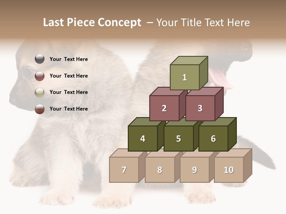 Undercoat Pedigree Cut PowerPoint Template