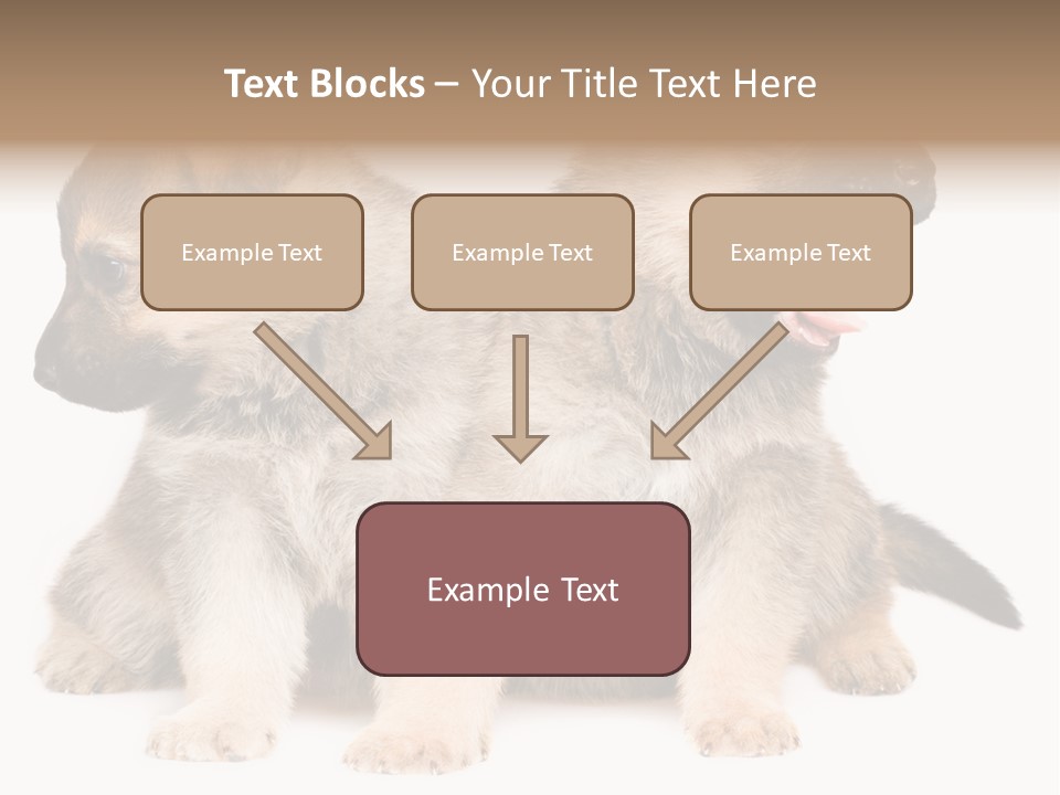 Undercoat Pedigree Cut PowerPoint Template