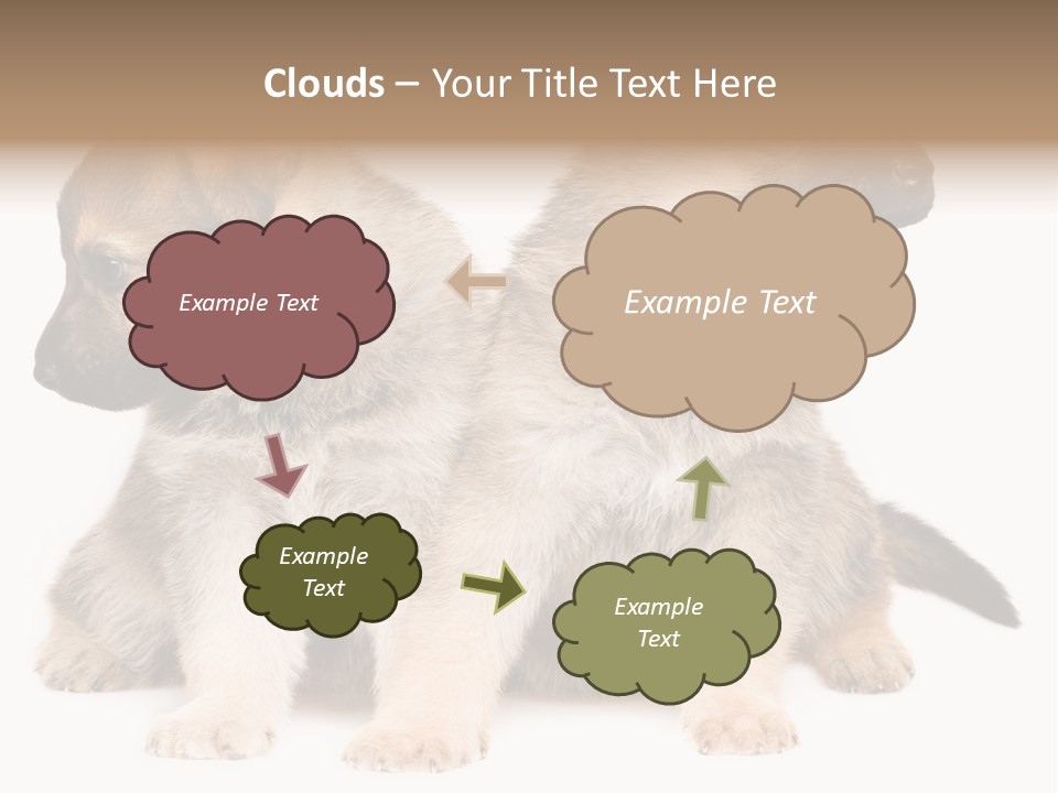 Undercoat Pedigree Cut PowerPoint Template