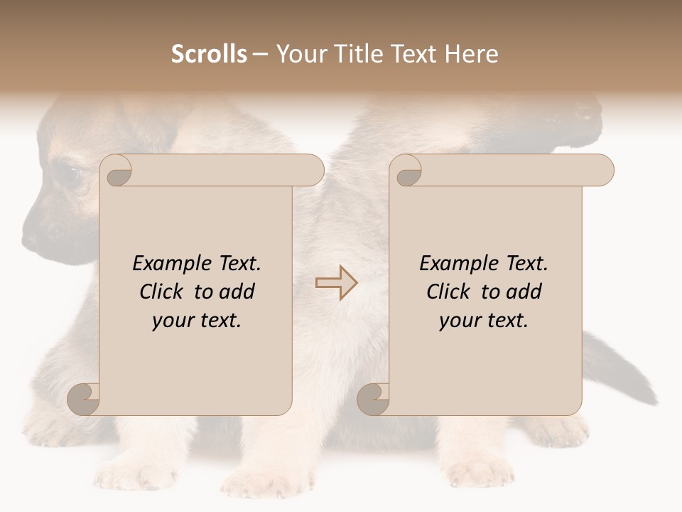 Undercoat Pedigree Cut PowerPoint Template