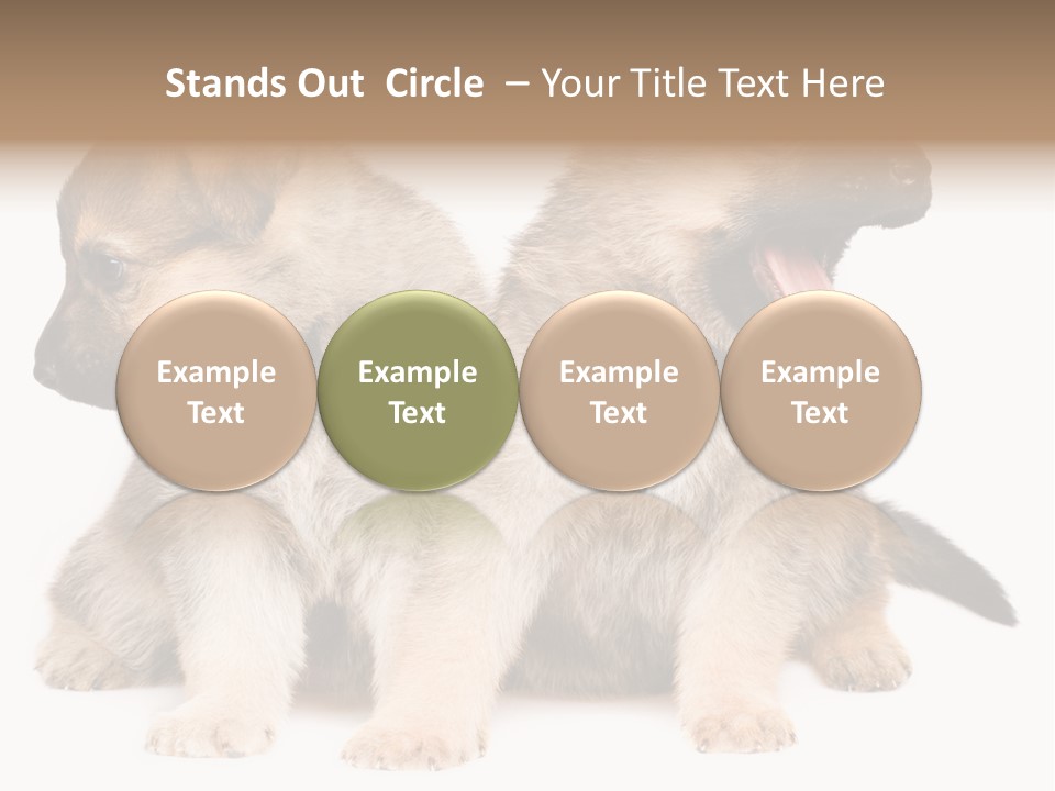 Undercoat Pedigree Cut PowerPoint Template