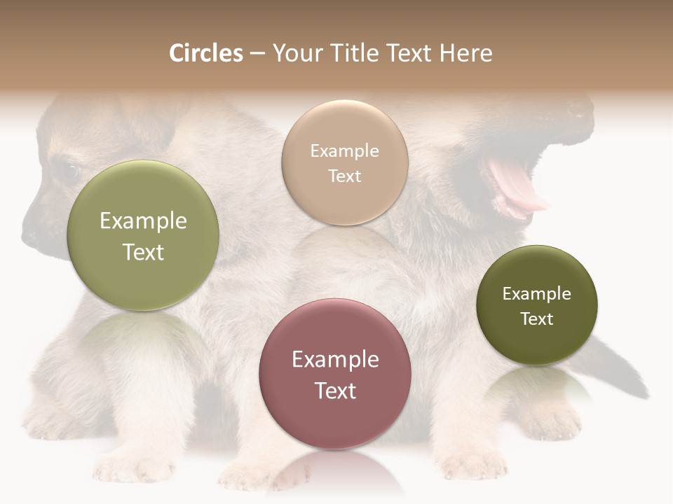Undercoat Pedigree Cut PowerPoint Template