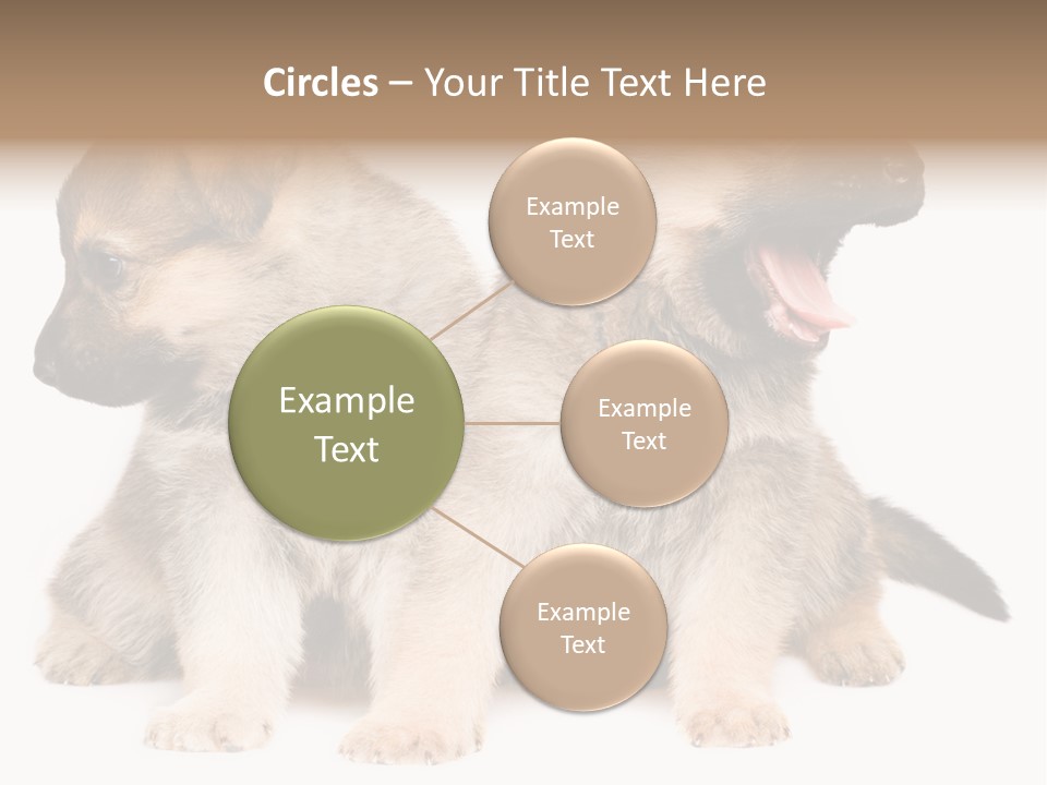 Undercoat Pedigree Cut PowerPoint Template