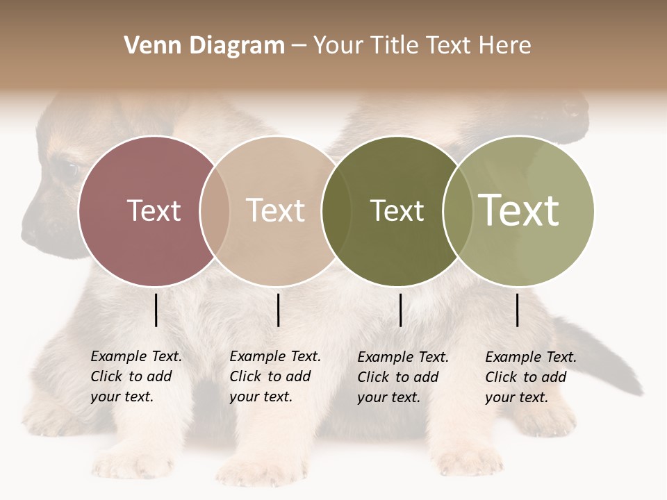 Undercoat Pedigree Cut PowerPoint Template