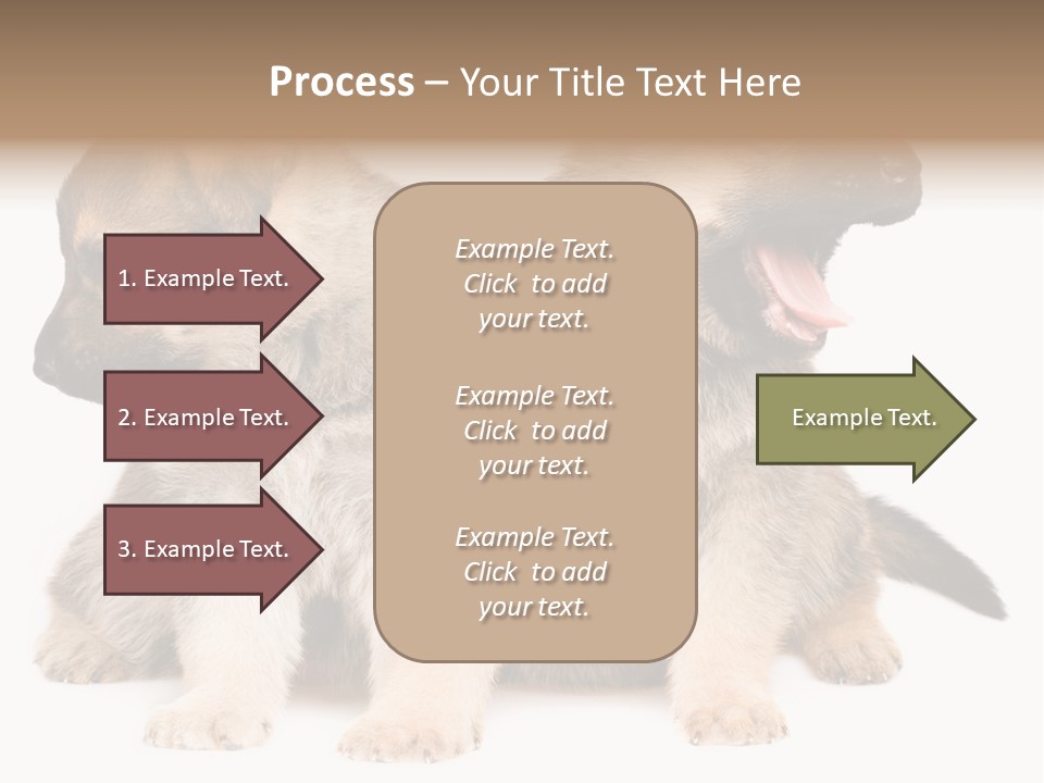 Undercoat Pedigree Cut PowerPoint Template