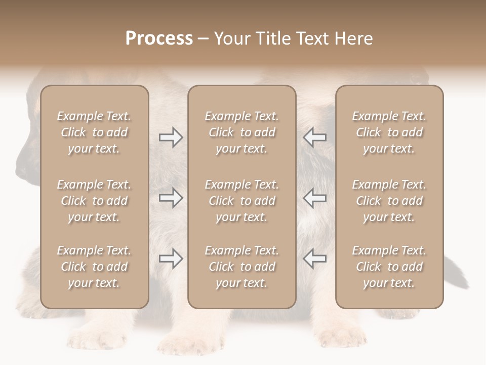 Undercoat Pedigree Cut PowerPoint Template