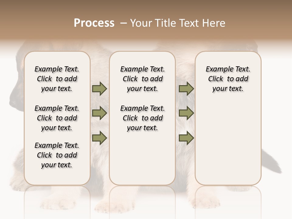 Undercoat Pedigree Cut PowerPoint Template