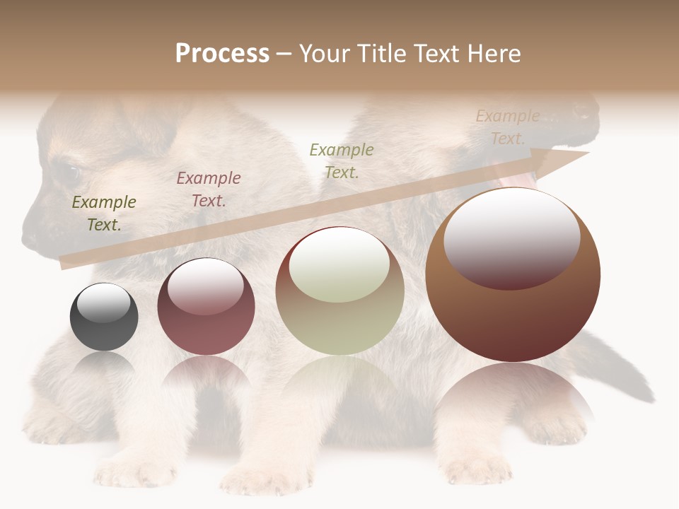 Undercoat Pedigree Cut PowerPoint Template