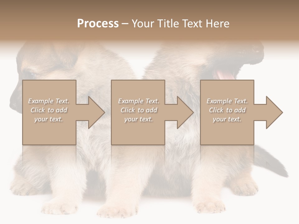 Undercoat Pedigree Cut PowerPoint Template