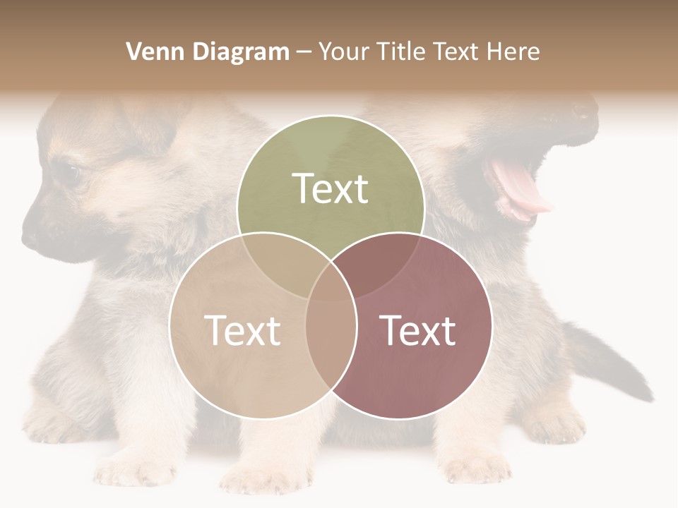 Undercoat Pedigree Cut PowerPoint Template