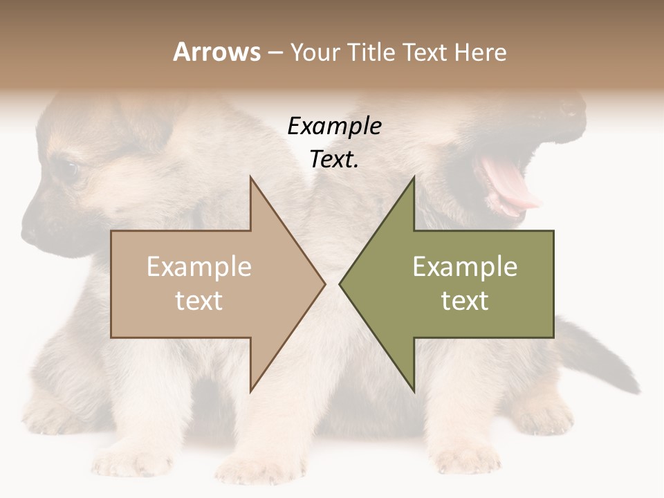 Undercoat Pedigree Cut PowerPoint Template