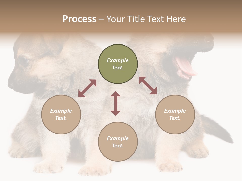 Undercoat Pedigree Cut PowerPoint Template