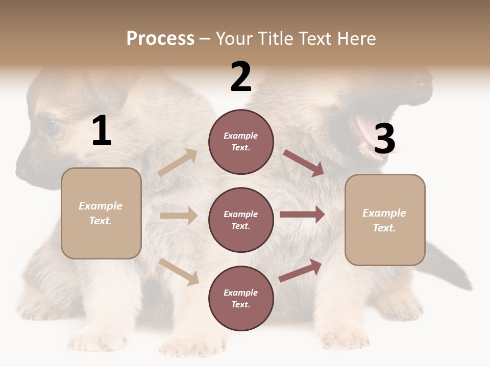 Undercoat Pedigree Cut PowerPoint Template