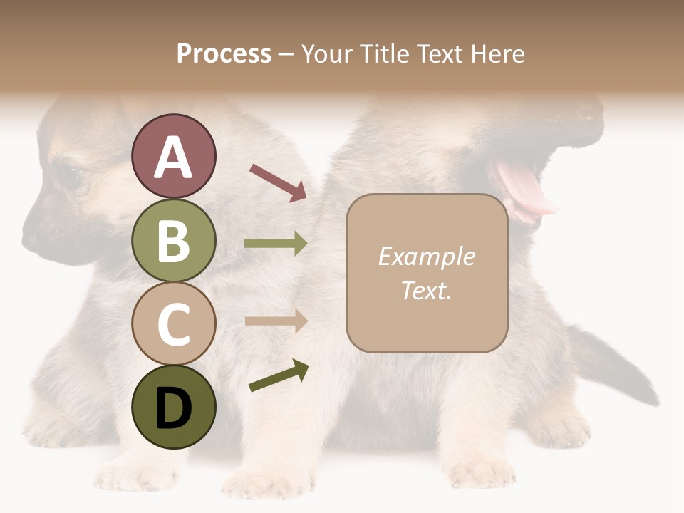 Undercoat Pedigree Cut PowerPoint Template