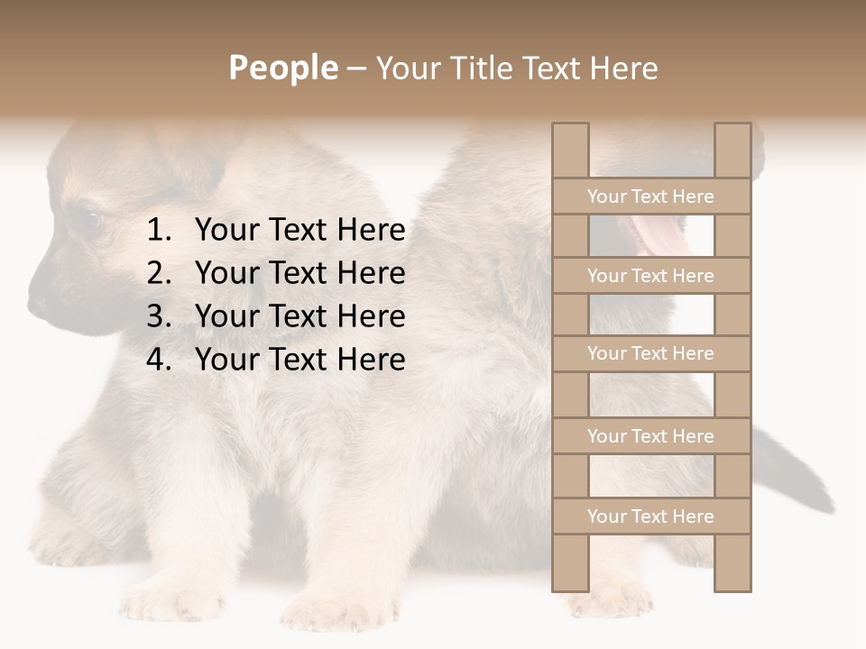 Undercoat Pedigree Cut PowerPoint Template