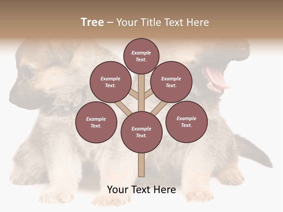 Undercoat Pedigree Cut PowerPoint Template