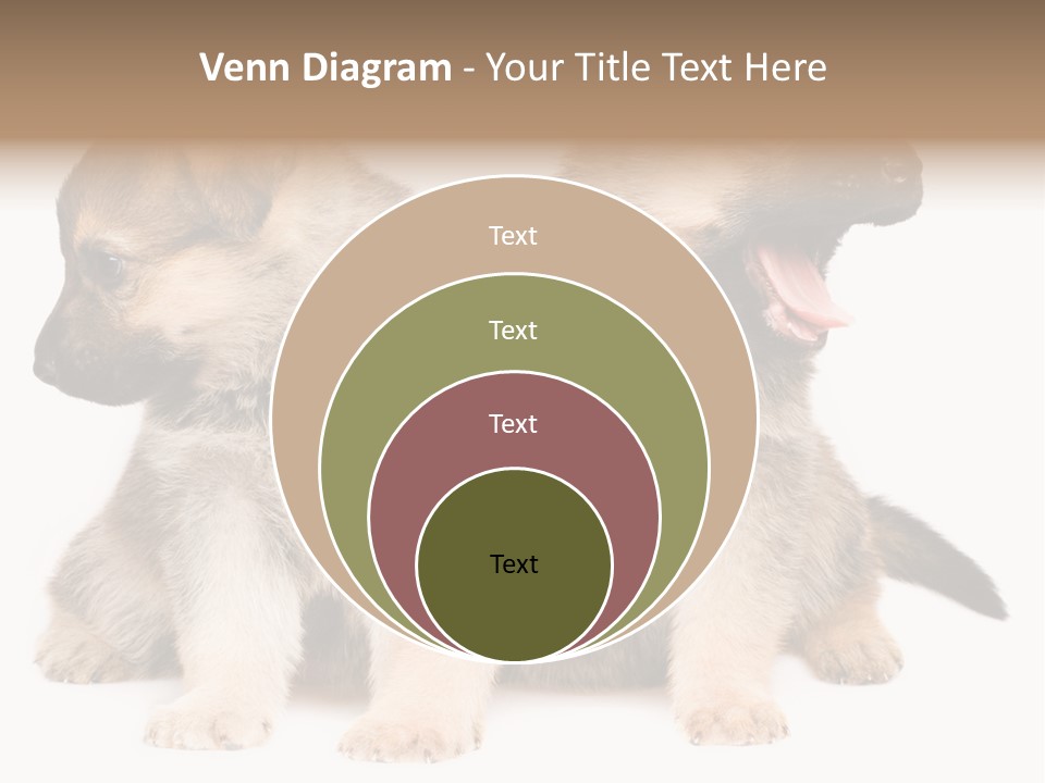 Undercoat Pedigree Cut PowerPoint Template