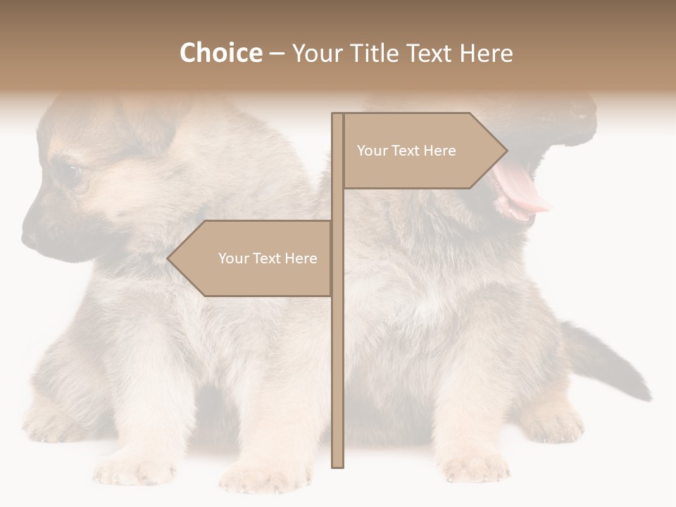 Undercoat Pedigree Cut PowerPoint Template