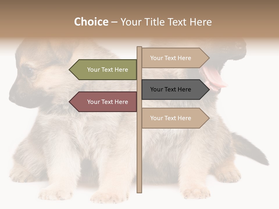 Undercoat Pedigree Cut PowerPoint Template