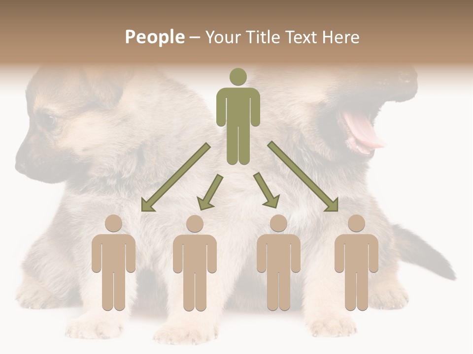 Undercoat Pedigree Cut PowerPoint Template