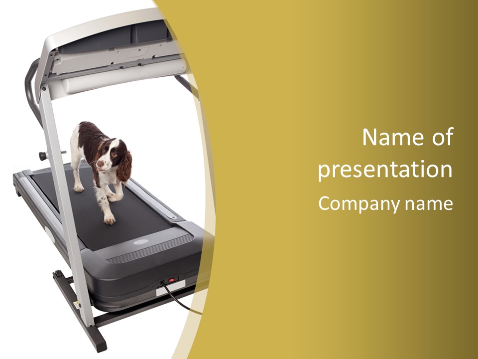 Equipment Exercise Pet PowerPoint Template