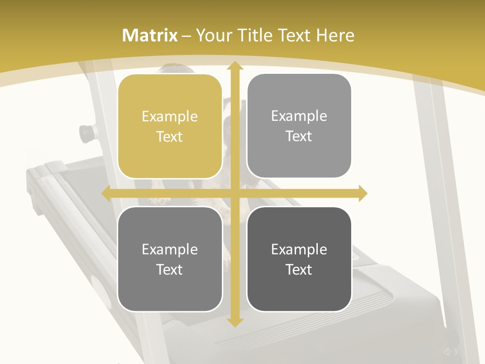 Equipment Exercise Pet PowerPoint Template