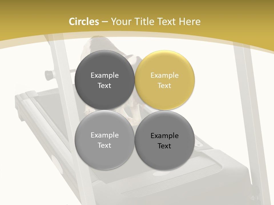 Equipment Exercise Pet PowerPoint Template