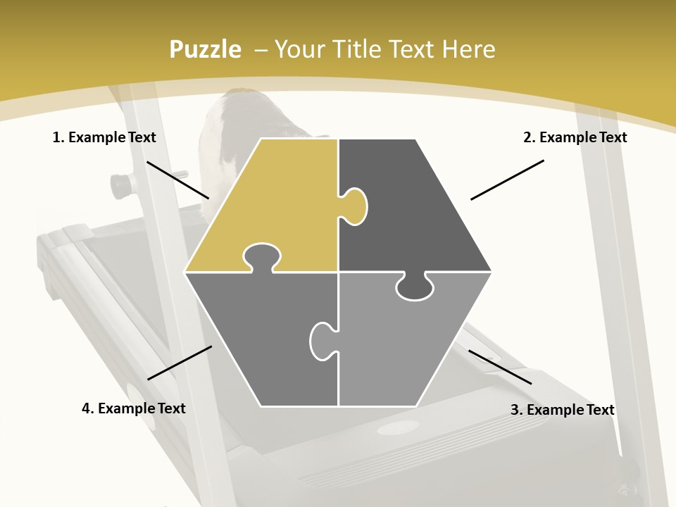 Equipment Exercise Pet PowerPoint Template
