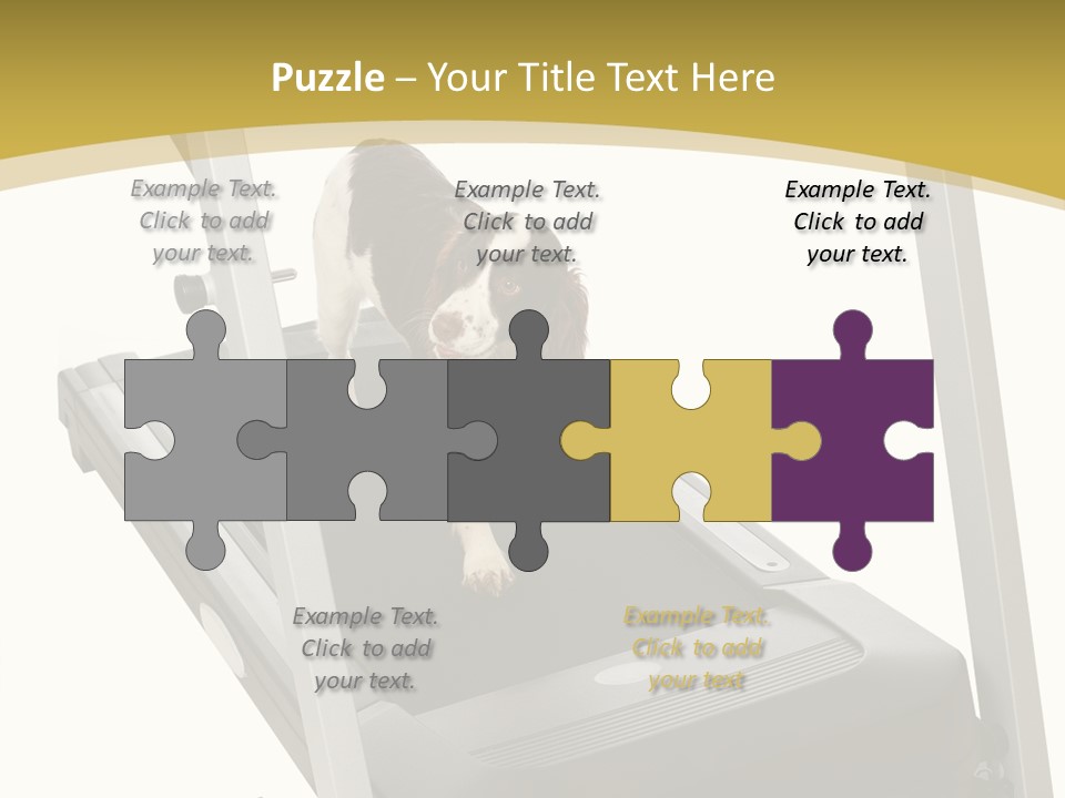 Equipment Exercise Pet PowerPoint Template