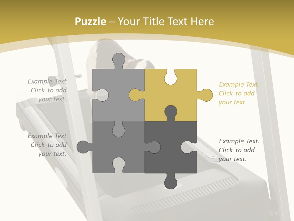 Equipment Exercise Pet PowerPoint Template