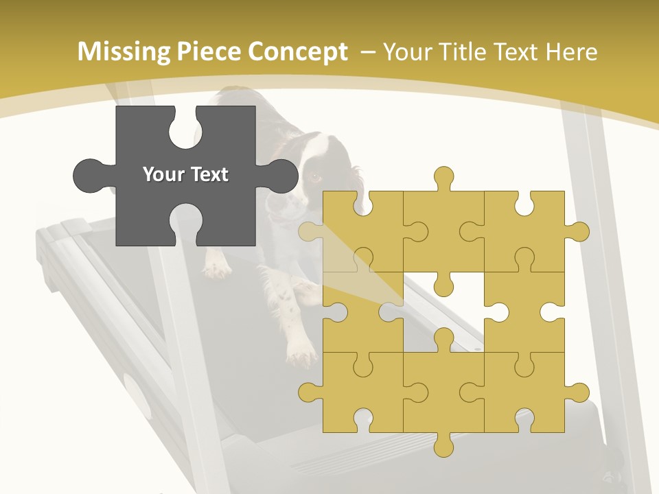 Equipment Exercise Pet PowerPoint Template